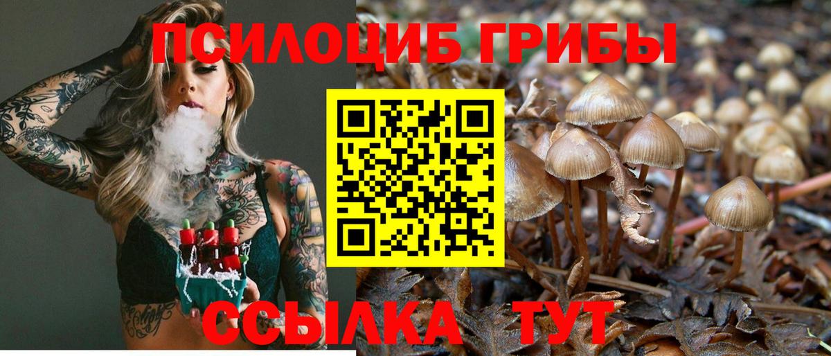 Галлюциногенные грибы GOLDEN TEACHER Арзамас