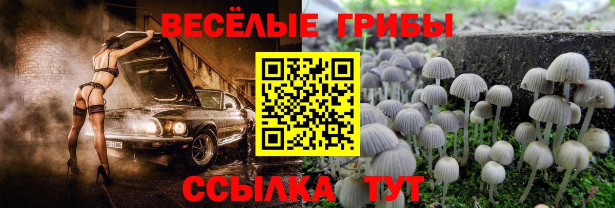 Псилоцибиновые грибы мухоморы  Вход с VPN  Арзамас 